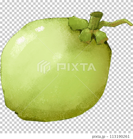 Green Coconut summer fruit 113190261