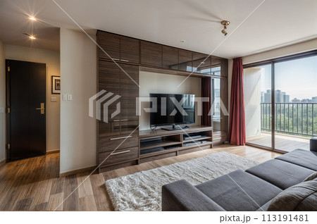 スタイリッシュなデザイナーズマンションのリビング 113191481