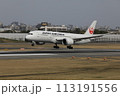 着陸する飛行機 113191556