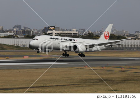 着陸する飛行機 113191556