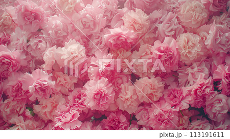 花の背景素材（Generative AI） 113191611