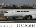 離陸する飛行機 113191649
