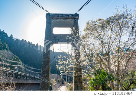 和歌山県海草郡紀美野町 毛原上の吊り橋 和歌山県海草郡紀美野町 毛原上の吊り橋 113192464