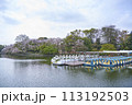 春の桜満開の井の頭公園の池とボート 113192503