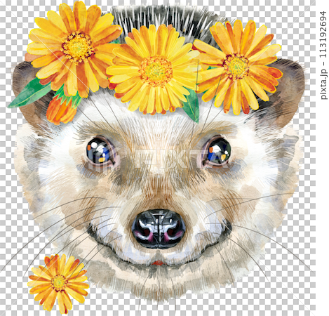 Watercolor portrait with flowers of a hedgehog on white background 113192694