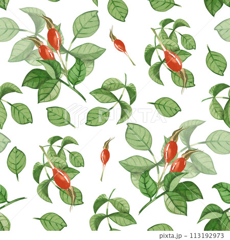 Seamless watercolor pattern. Rosehip, green rosehip leaves, red rosehip berries hand drawn in watercolor. Suitable for printing on fabric and paper, for textiles, scrapbooking, postcards. 113192973