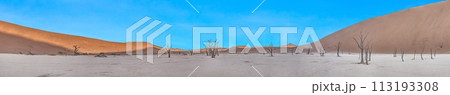 Panoramic picture of the Deadvlei salt pan in the Namib Desert with dead trees in front of red sand dunes in the morning light 113193308