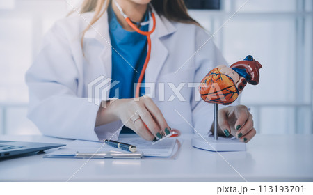 Doctor explaining heart to elderly patient. Doctor explaining the heart model. Doctors pen point to a model of the heart Doctor explaining heart to elderly patient. Doctor explaining the heart model. Doctors pen point to a model of the heart 113193701