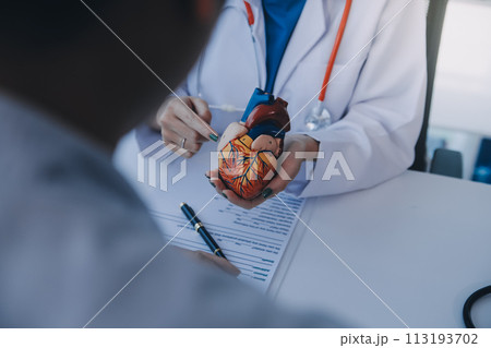 Doctor explaining heart to elderly patient. Doctor explaining the heart model. Doctors pen point to a model of the heart Doctor explaining heart to elderly patient. Doctor explaining the heart model. Doctors pen point to a model of the heart 113193702