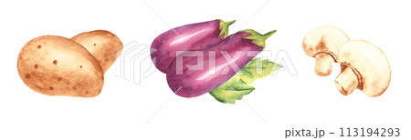 Set of vegetables compositions. Eggplants, potato and champignons. Watercolor hand drawn illustration in vintage style isolated on a white background. Set of vegetables compositions. Eggplants, potato and champignons. Watercolor hand drawn illustration in vintage style isolated on a white background. 113194293
