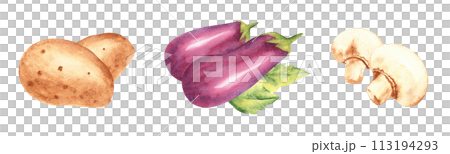 Set of vegetables compositions. Eggplants, potato and champignons. Watercolor hand drawn illustration in vintage style isolated on a white background. Set of vegetables compositions. Eggplants, potato and champignons. Watercolor hand drawn illustration in vintage style isolated on a white background. 113194293