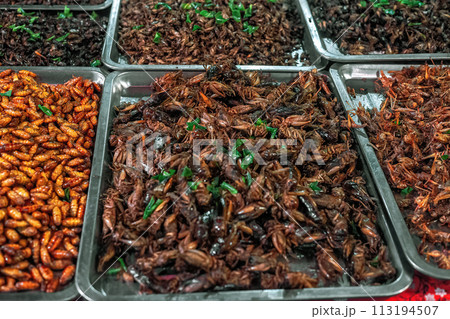 Deep fried spicy crickets insects at night street food market. Roasted grasshoppers sale in Asia Deep fried spicy crickets insects at night street food market. Roasted grasshoppers sale in Asia 113194507