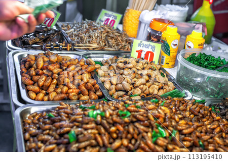 Thai food deep fried spicy silk worms, insects at night street market in Phuket, Thailand 113195410