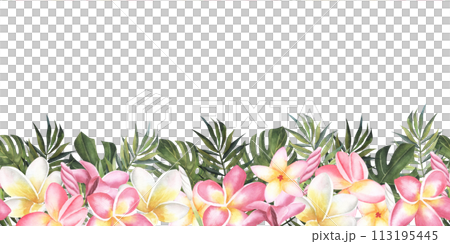 正規代理店 plumeria pink and white flower Stock - leaves. palm and ブレスレット・バングル