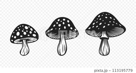 Vector Black and White Hand-Drawn Cartoon Mushrooms. Mushroom Illustration, Mushrooms Collection, Hand-Drawn Mushroom Design Template 113195779