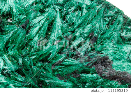 Macro mineral stone plisoviy, plush, satin malachite on a white background 113195819