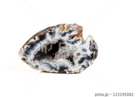 Macro mineral stone agate kidney gerbera on white background 113195882