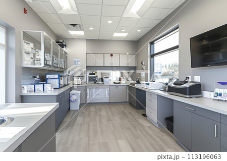 Modern Veterinary Clinic Interior 113196063