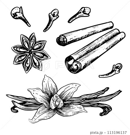 Ink hand drawn spices set. Sketch Vector aromatic ingredient in engraving style. Isolated on white background 113196137