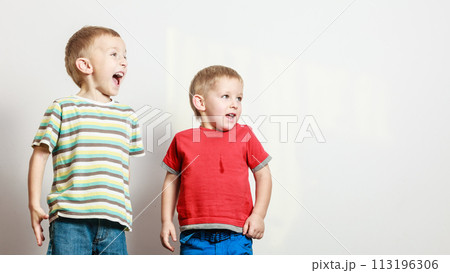 Little boys have fun together at home. Little boys have fun together at home. 113196306
