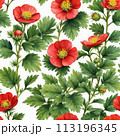 Potentilla anserina with red flowers 113196345