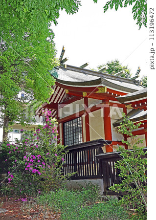 柴崎稲荷神社(調布) 柴崎稲荷神社(調布) 113196472