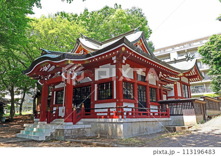 柴崎稲荷神社（調布） 113196483