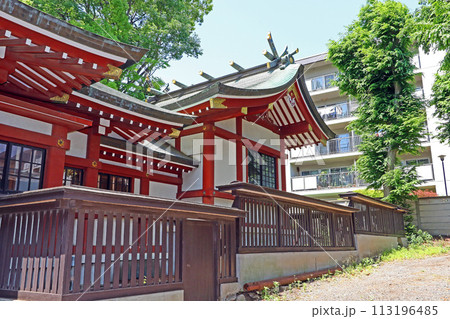 柴崎稲荷神社（調布） 113196485