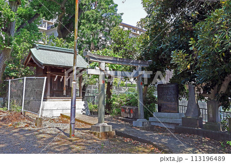 柴崎稲荷神社(調布) 柴崎稲荷神社(調布) 113196489