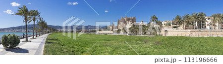 Sunny Seaside Promenade with Palm Trees Leading to Palma de Mallorca Cathedral 113196666