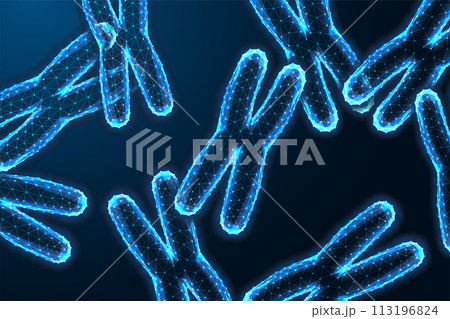 X Chromosomes under microscope on dark blue backgound in futuristic glowing low polygonal style 113196824