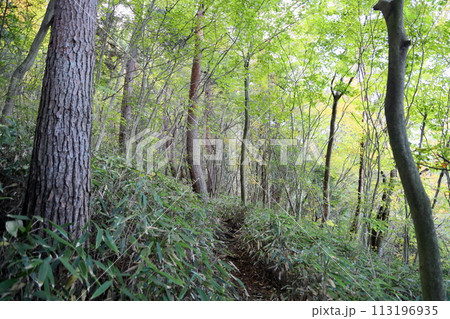 山へ行こう 岩湧山 山へ行こう 岩湧山 113196935