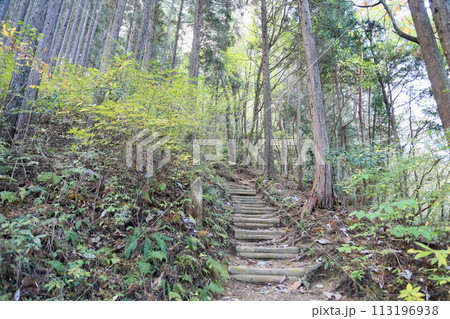 山へ行こう　岩湧山 113196938