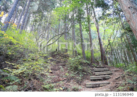 山へ行こう 岩湧山 山へ行こう 岩湧山 113196940
