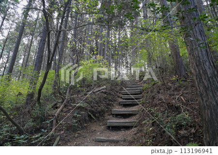 山へ行こう岩湧山 山へ行こう岩湧山 113196941