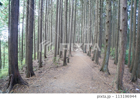 山へ行こう 岩湧山 山へ行こう 岩湧山 113196944