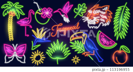 Tropical Set of fashion neon sign. Night bright signboard, Glowing light banner. Summer logo, emblem 113196955