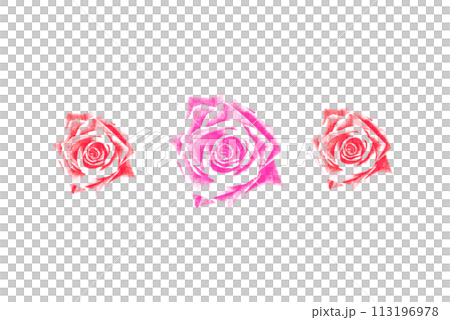 赤とピンクのバラの花の素材　パーツ 113196978