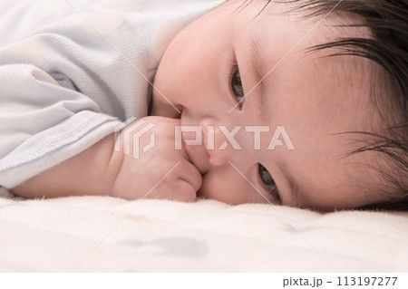 【指しゃぶりする赤ちゃん　うつぶせ】 113197277