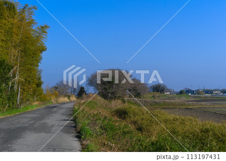 千葉県印西市鎌ヶ谷本埜線(かまがやもとのせん)2024年3月 千葉県印西市鎌ヶ谷本埜線(かまがやもとのせん)2024年3月 113197431