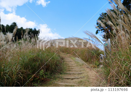 山へ行こう　岩湧山 113197698