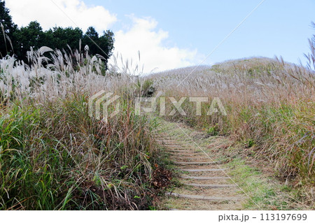 山へ行こう　岩湧山 113197699