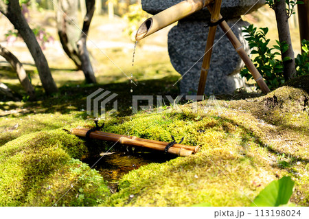 京都府八幡市八幡女郎花の市立松花堂庭園　茶室　梅隠の手水鉢（水琴窟） 113198024