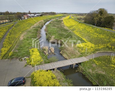 小畔川にかかる珍しい沈下橋（鎌取橋）と満開の菜の花　埼玉県川越市（ドローンによる空撮） 113198285