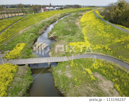 小畔川にかかる珍しい沈下橋（鎌取橋）と満開の菜の花　埼玉県川越市（ドローンによる空撮） 113198287