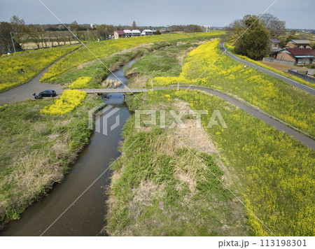 小畔川にかかる珍しい沈下橋（鎌取橋）と満開の菜の花　埼玉県川越市（ドローンによる空撮） 113198301