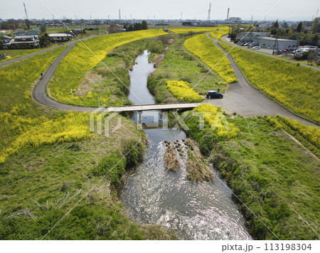 小畔川にかかる珍しい沈下橋(鎌取橋)と満開の菜の花 埼玉県川越市(ドローンによる空撮) 小畔川にかかる珍しい沈下橋(鎌取橋)と満開の菜の花 埼玉県川越市(ドローンによる空撮) 113198304