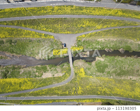 小畔川にかかる珍しい沈下橋（鎌取橋）と満開の菜の花　埼玉県川越市（ドローンによる空撮） 113198305
