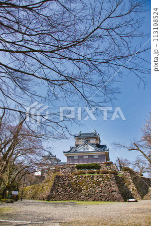 さくらの開花を待つ大野城 113198524