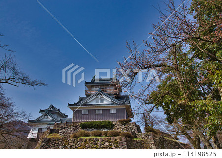 さくらの開花を待つ大野城 113198525